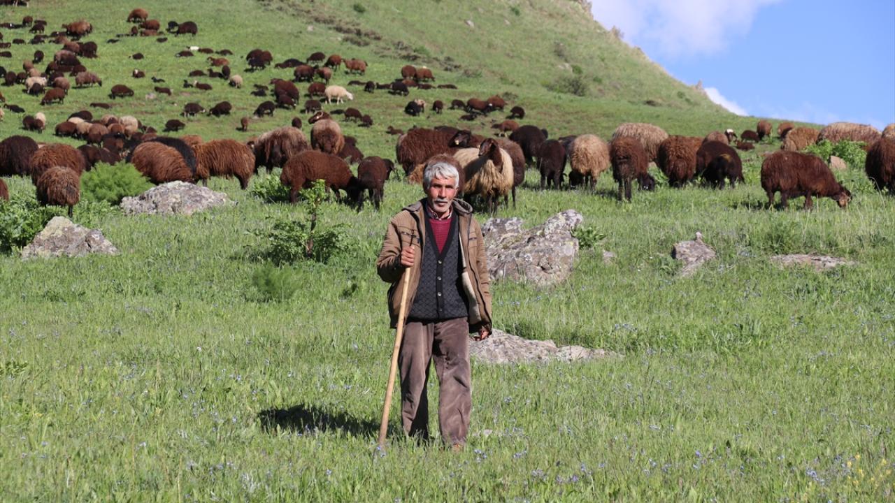 "Yayla yolculuğumuz 13 gün sürdü"