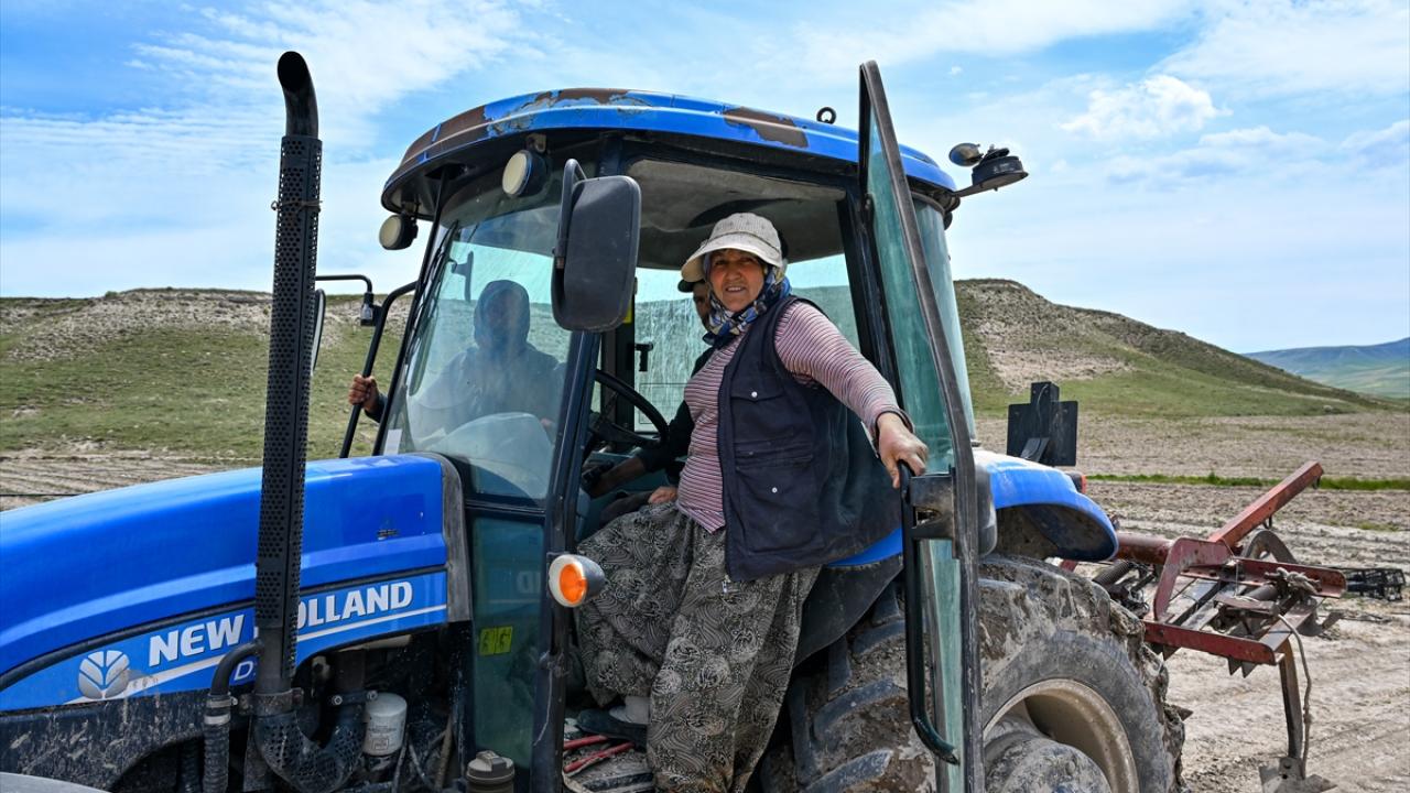 "Bu fidelere yavrularımız gibi bakıyoruz"