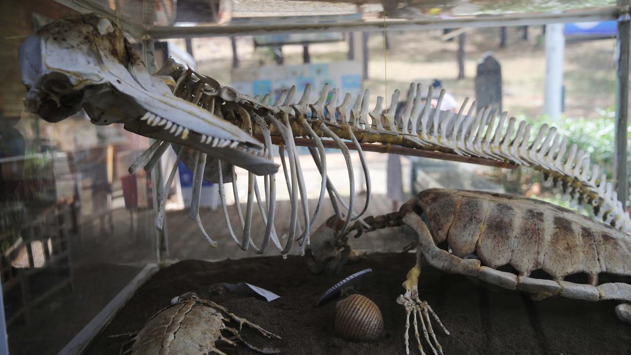 "Müzeyi 60 bin kişi ziyaret ediyor"