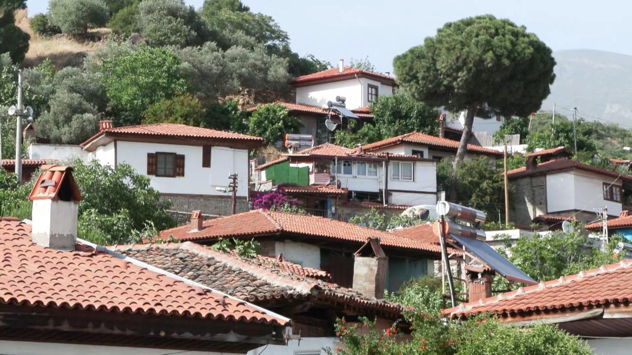 "Kuş türleri çok özel ve güzel"