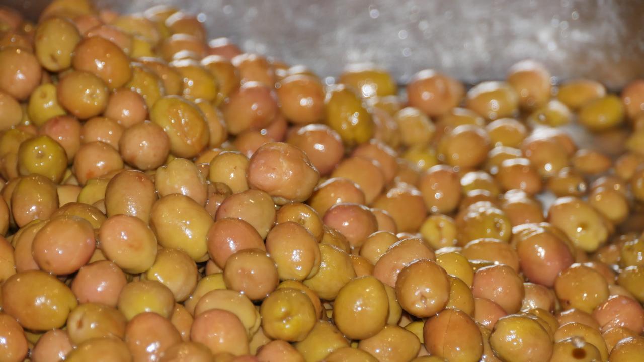 Edremit Körfezi yeşil çizik zeytini