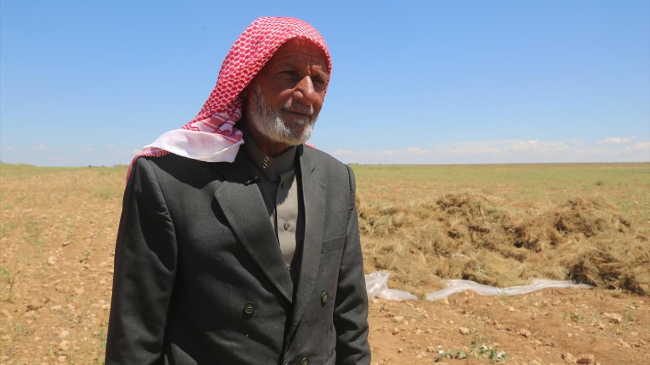 "Bu yıl mutluyuz güzel fiyatlar bekliyoruz"