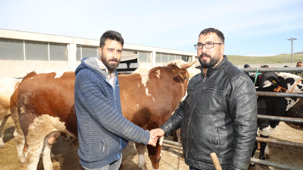 7 - Adak veya akika niyetiyle kurbana iştirak edilebilir mi?