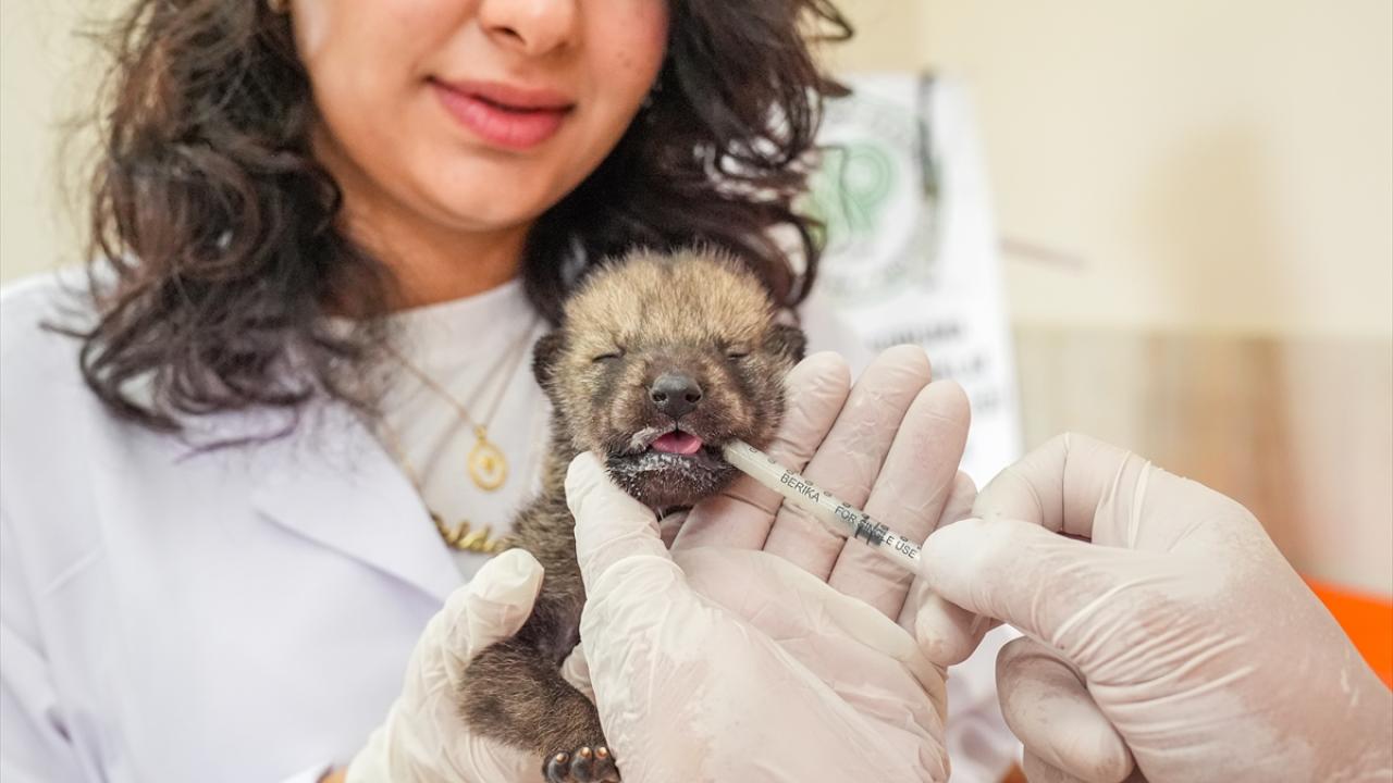 "Garip`in mutlak bir anneye ihtiyacı var"