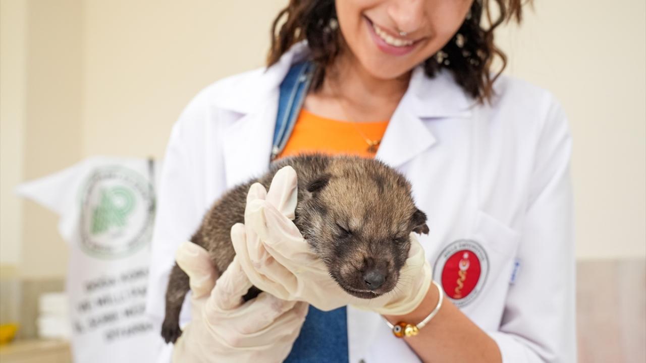 "Kardeşleri anne sütü eksikliğinden öldü"