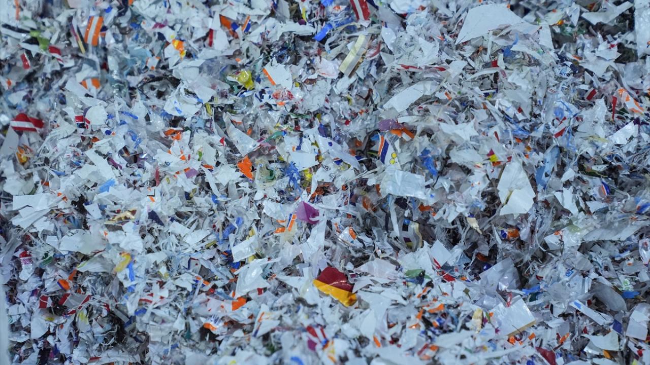 "Bunlar bizim için ham madde kaynağı"