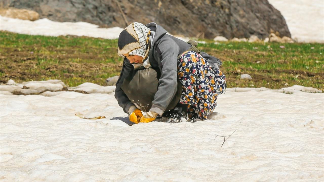 "Otların hepsi birbirinden güzel"