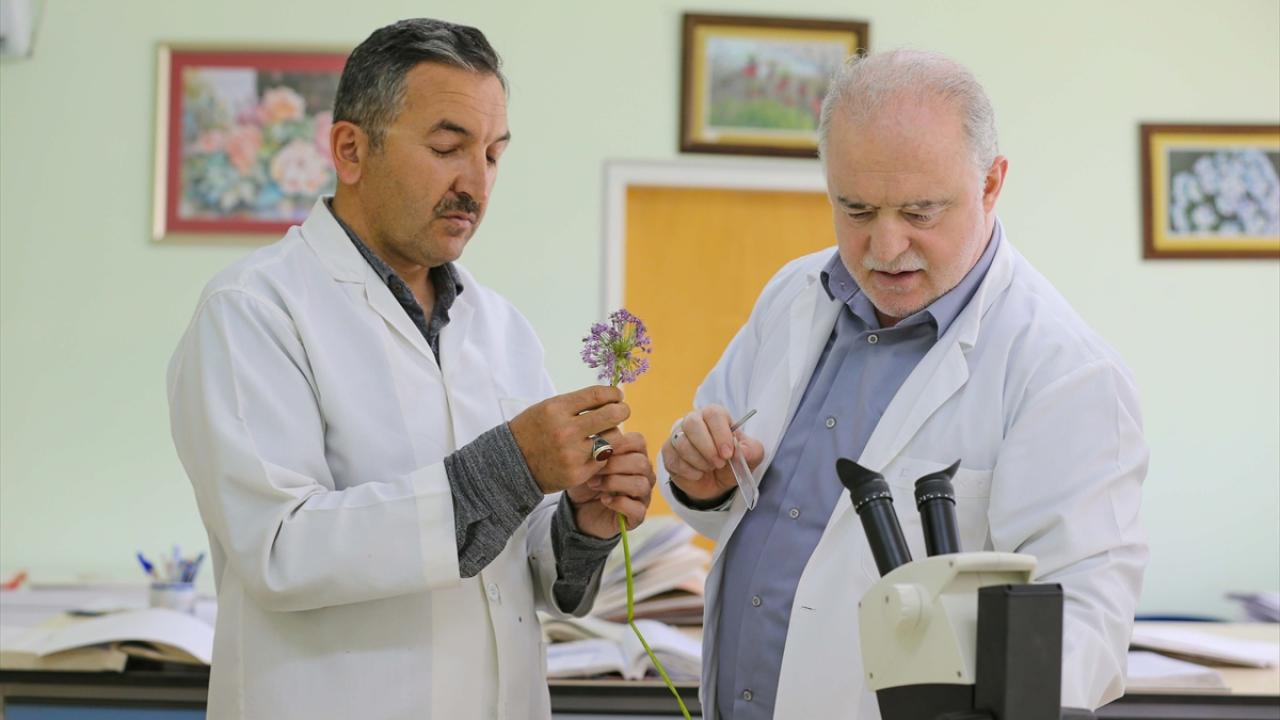 "Bitkilerin kurtarma planını hazırladık"