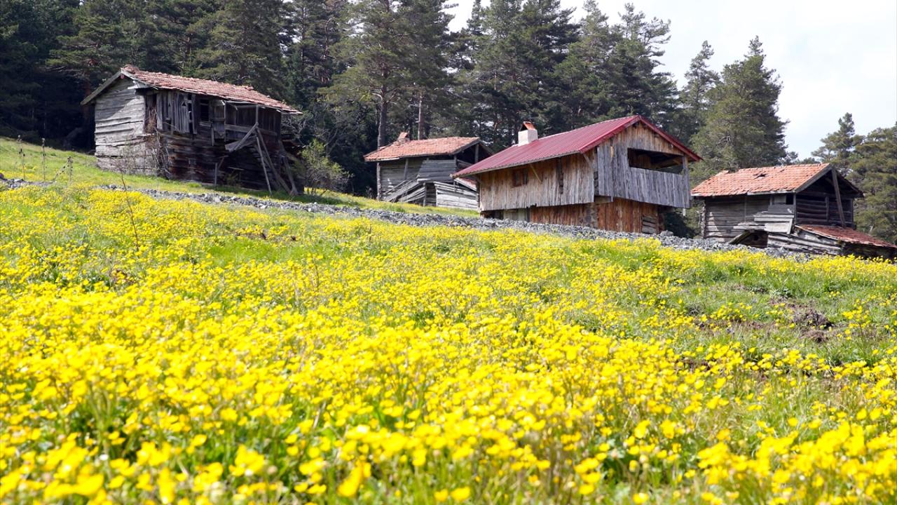 Ziyaretçiler bölgenin doğal güzelliklerine hayran kalıyor