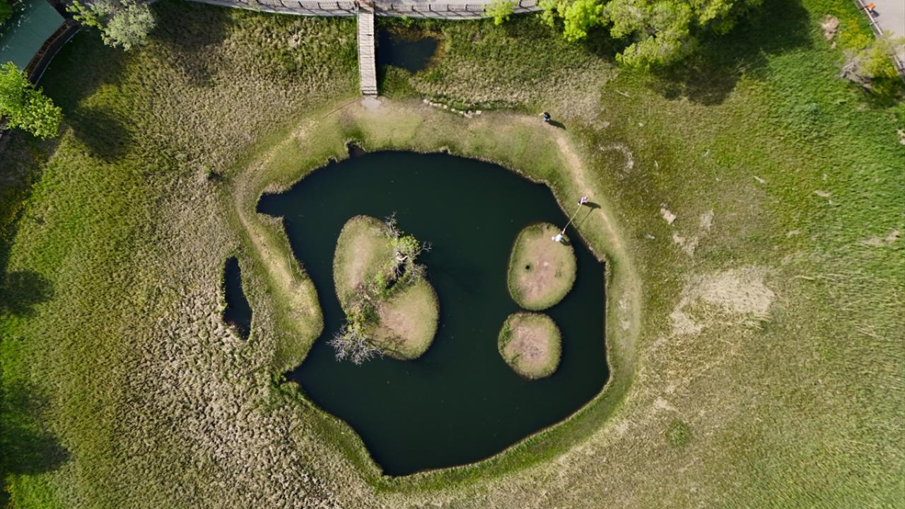 Yuzdagi gozal fotosuratlar