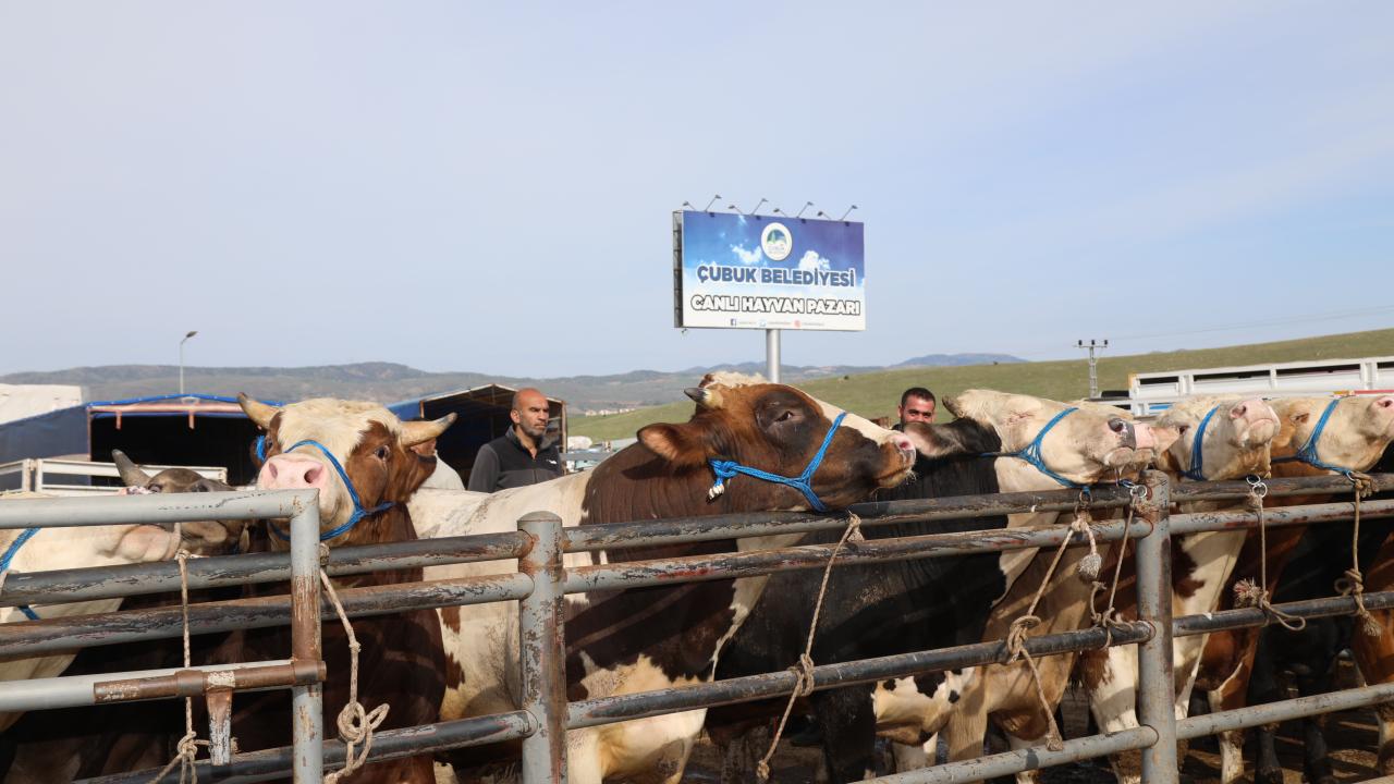 6 - Hissedarlar belirlenmeden topluca kurban kesilebilir mi?