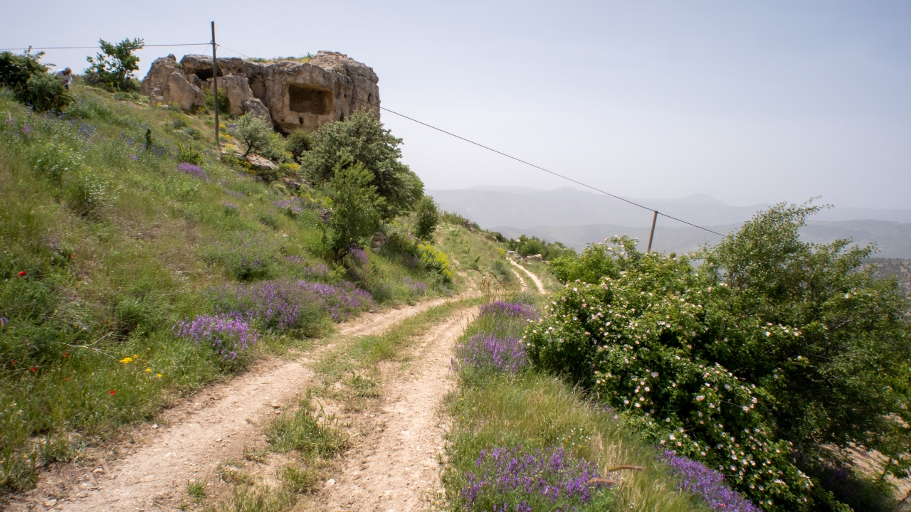 Haber-Fotoğraf: Ali Çilesizoğlu