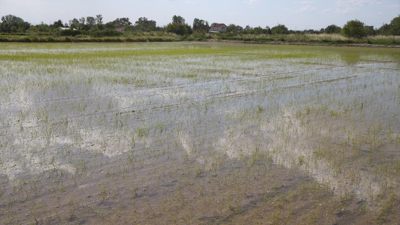 "Çömlekköy Barajı önemli"