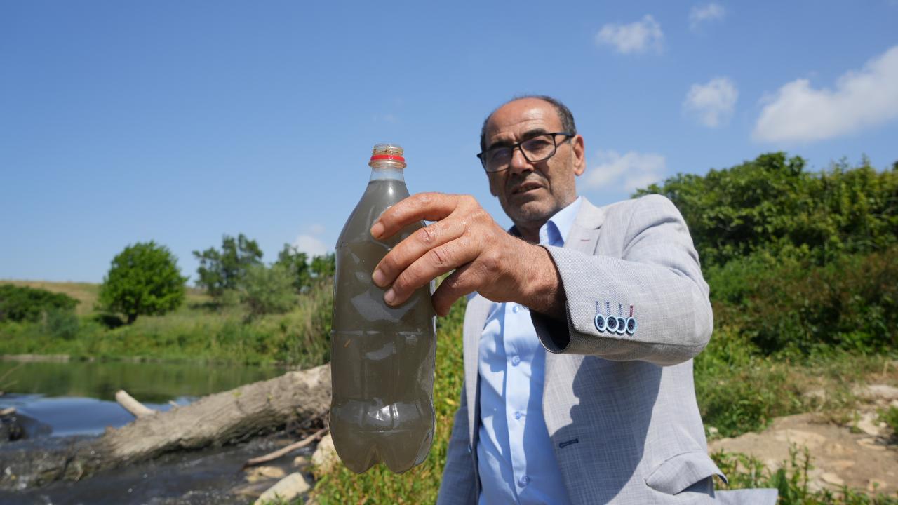 Longoz ormanları tehlikede