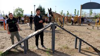 Proteo"nun adının yaşatıldığı parkurda köpekler ücretsiz eğitiliyor