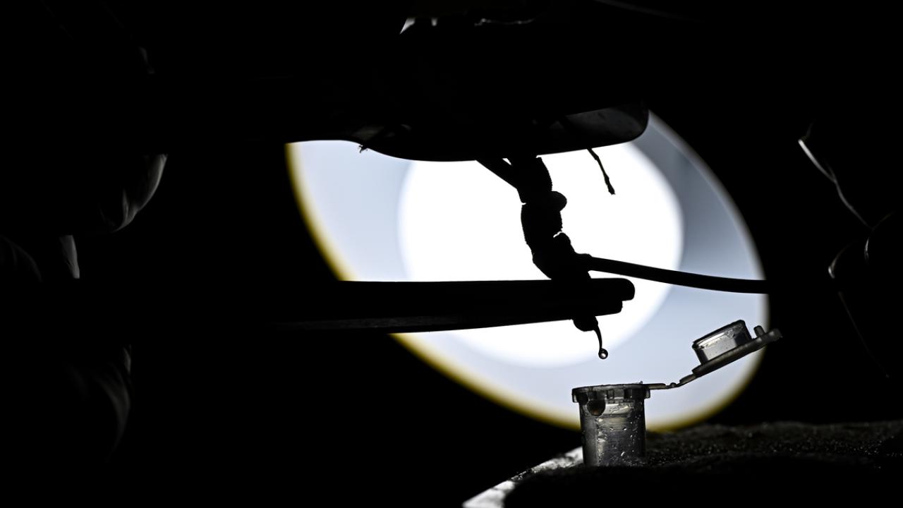 Ayda 25-30 gram zehir elde ediliyor