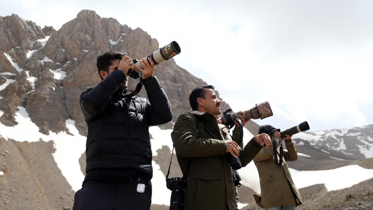 2 bin 800 rakıma kadar çıkıyorlar