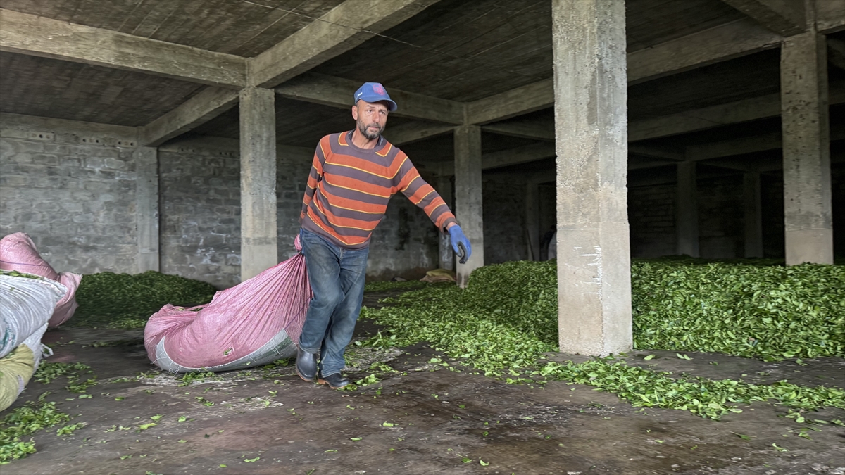 "Uygulamanın yaygınlaşmasını canı gönülden istiyoruz"
