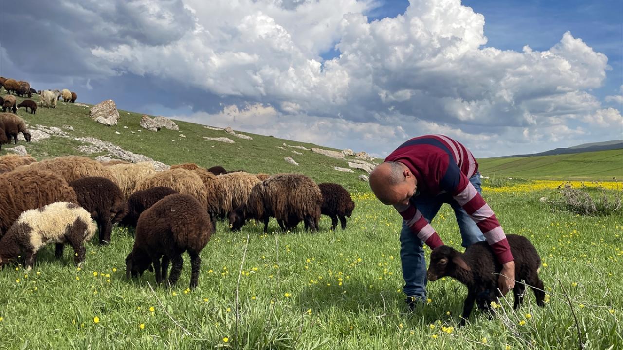 "Meralarımızın üst tarafları karla kaplı"