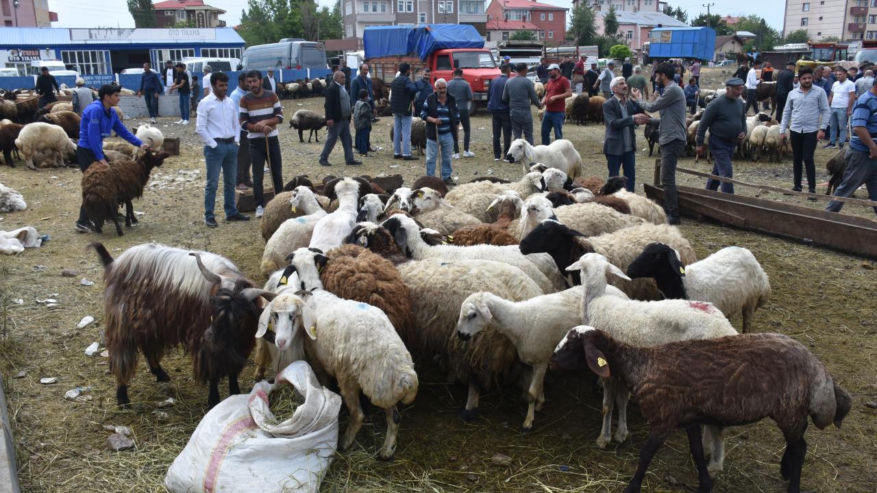 8 - Taksitle kurban alınabilir mi?