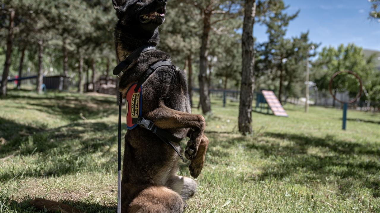 "Her gün eğitimleri yapılıyor"