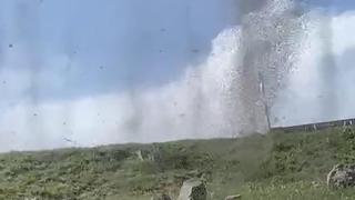 Yeşil sinekler 'hortum' oluşturdu