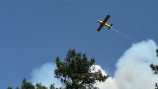 Bursa'da orman yangını