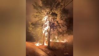 Hizbullah'tan İsrail'e saldırı: Birçok noktada yangın çıktı