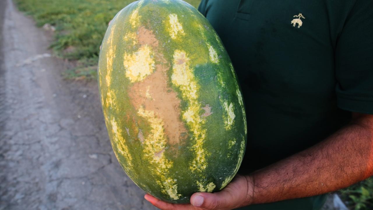 "Aşırı sıcaklarda ürün deforme oluyor"