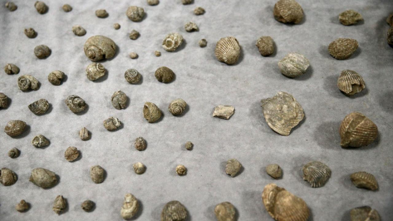 "Amacımız öğrencilerin arkeoloji, jeoloji, coğrafya ve fen bilimlerine ilgilerini artırmak"