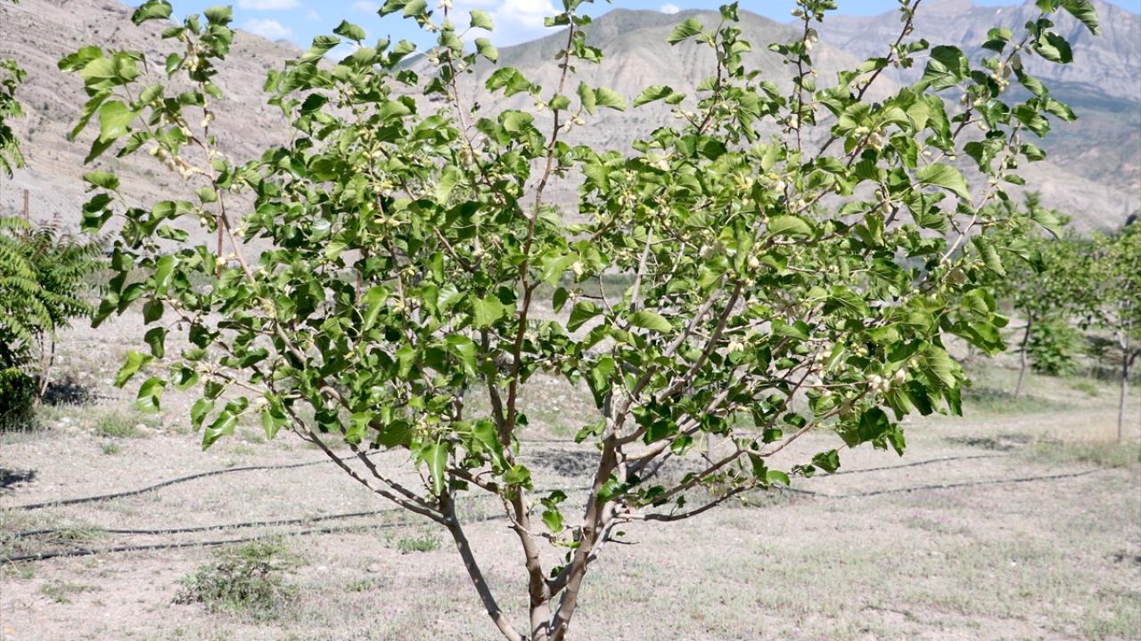 "Hem yöre çiftçimiz hem de belediyemiz kazanacak"
