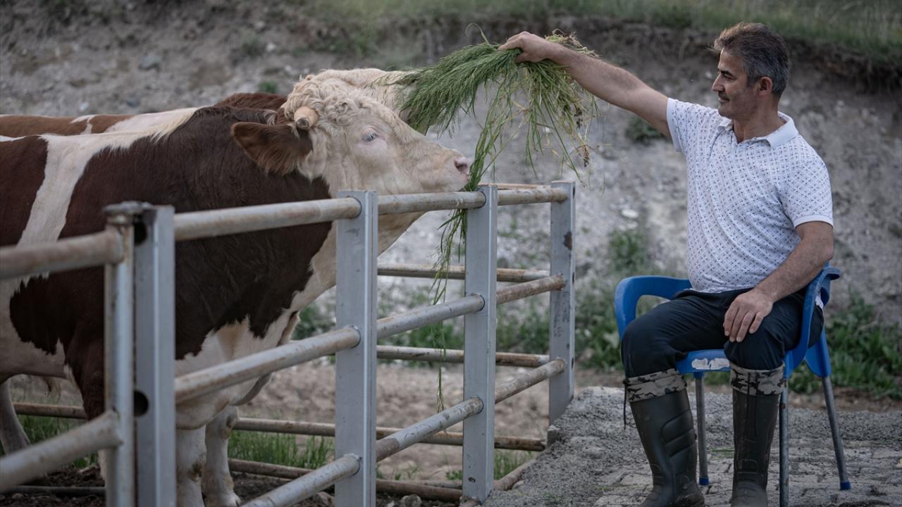 "Bu işi öğrendim, üreticilerimize artık öğretmeye başladım"