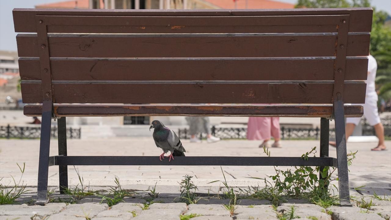 Sıcaklık ortalama değerin üzerinde