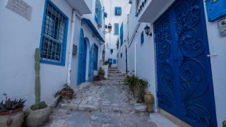 Denizin evlere rengini verdiği kasaba: Sidi Bou Said
