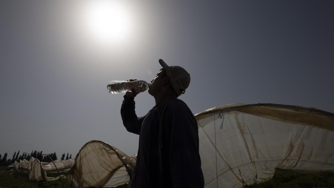 Aydın/Karpuzlu 45,5