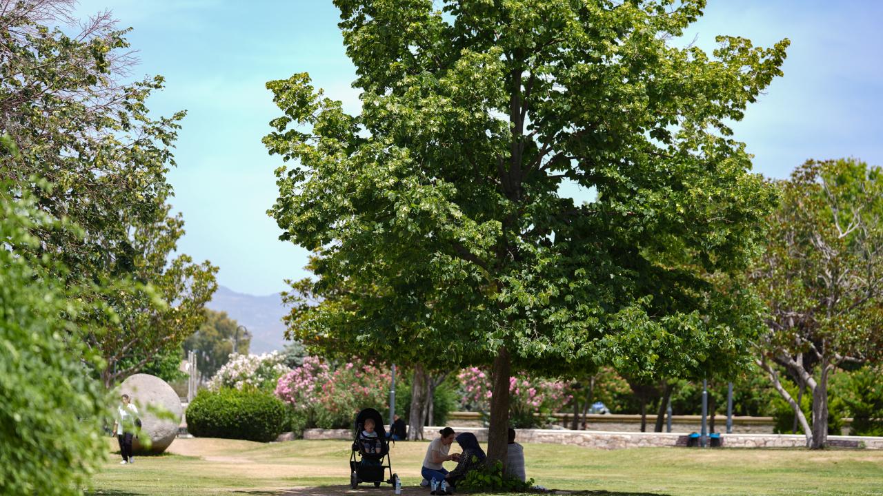 Şanlıurfa/Ceylanpınar 43,8