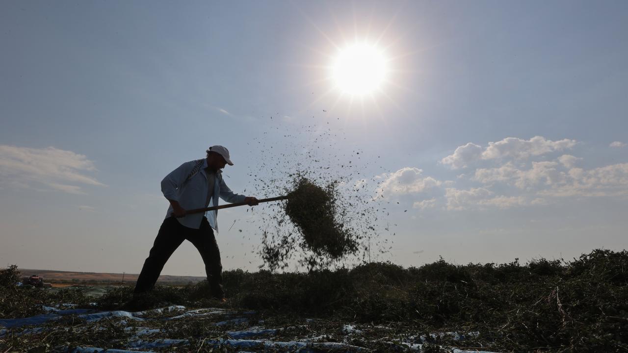 Gaziantep/Karkamış 42,3