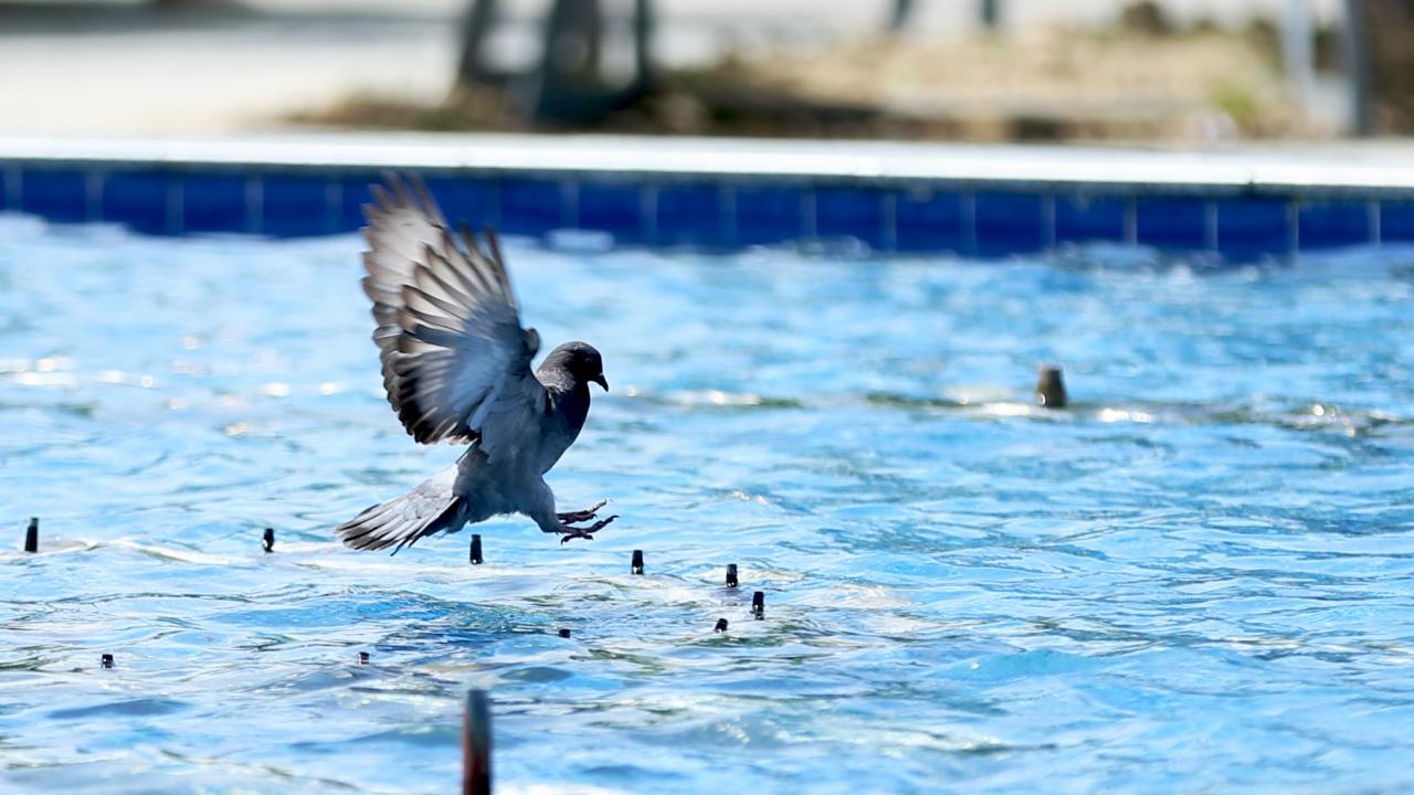 Karaman/ Merkez 41,9