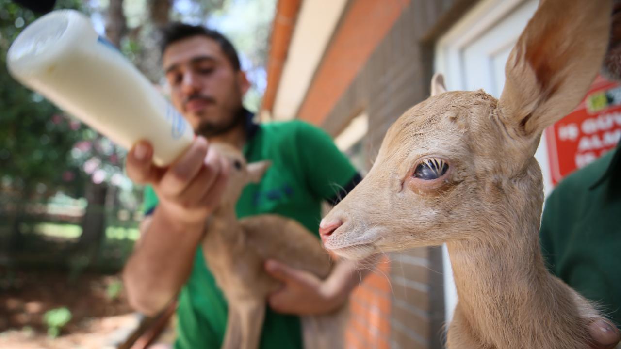 "Anneyi arattırmamaya çalışıyoruz"