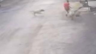 Sahipsiz köpeklerin çocuğa saldırı anı kamerada