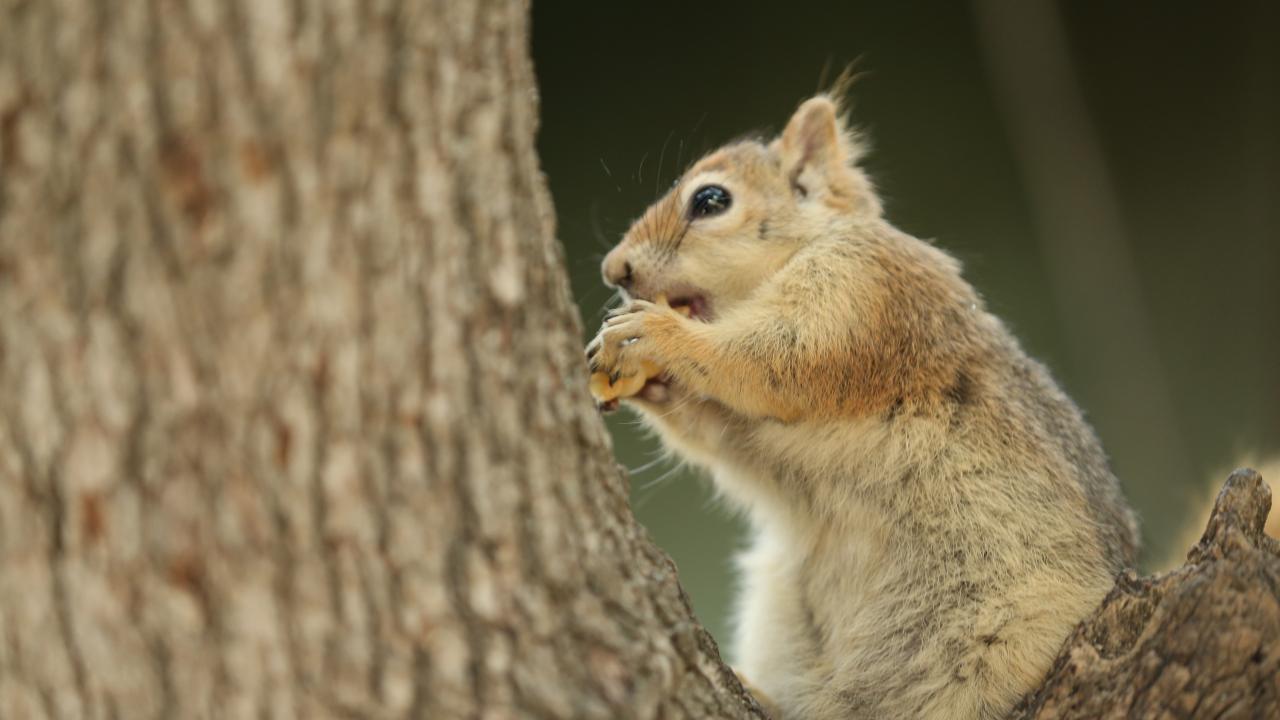 "Kendisini sevdiriyor"