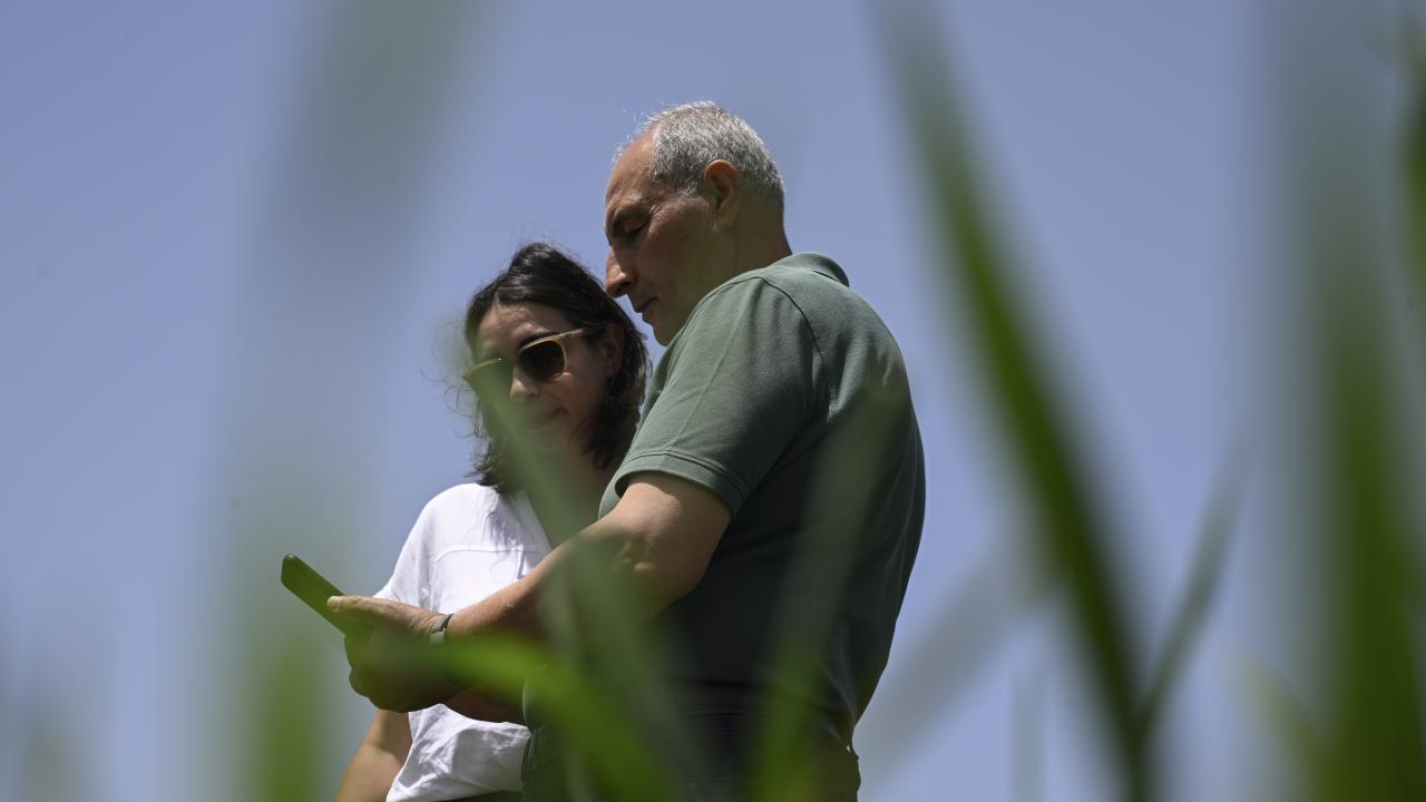 "Yüzde 50`ye kadar verim artışı sağladığımız parsellerimiz var"