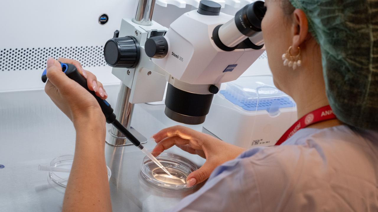 Bütün işlemler devlet desteğiyle yapılıyor