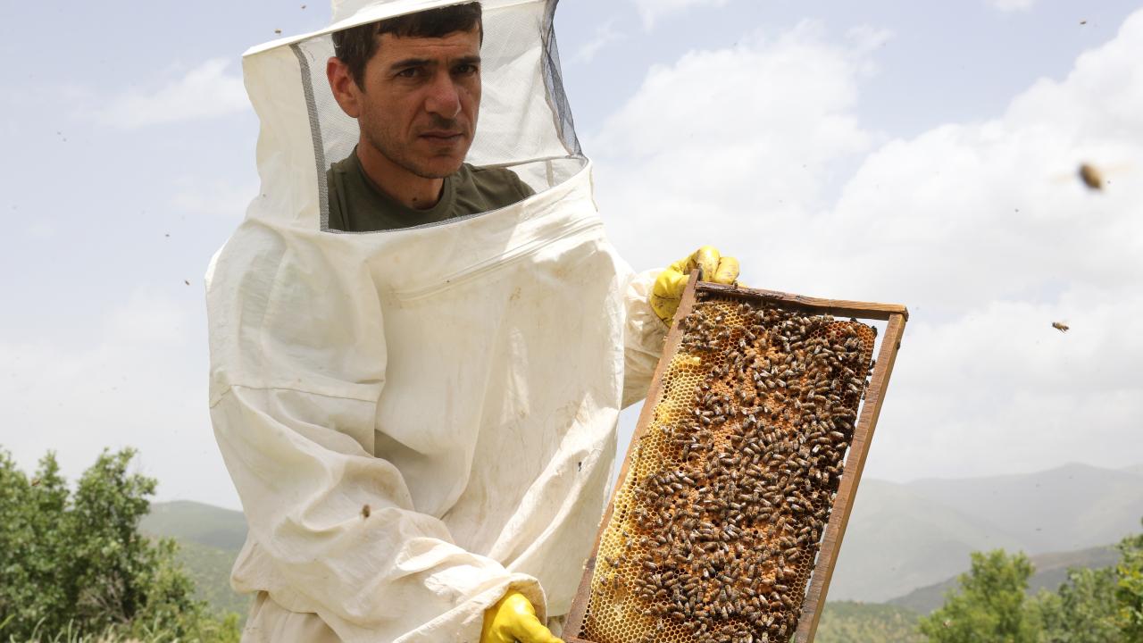 "Yaylalarımızda şenlik havası yaşanıyor"