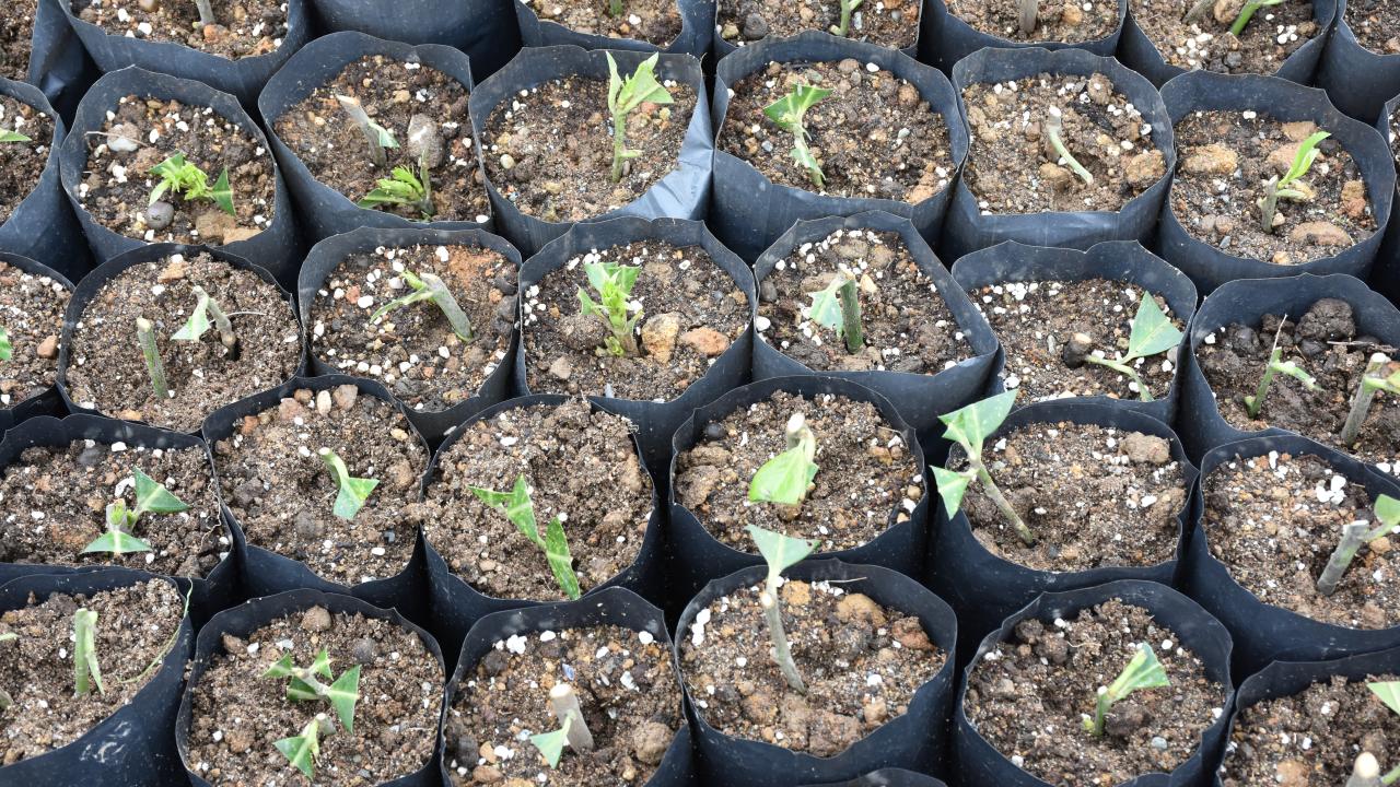 "Vatandaşlarımızın taleplerini ve yörenin ihtiyacını karşılamaya çalışıyoruz"