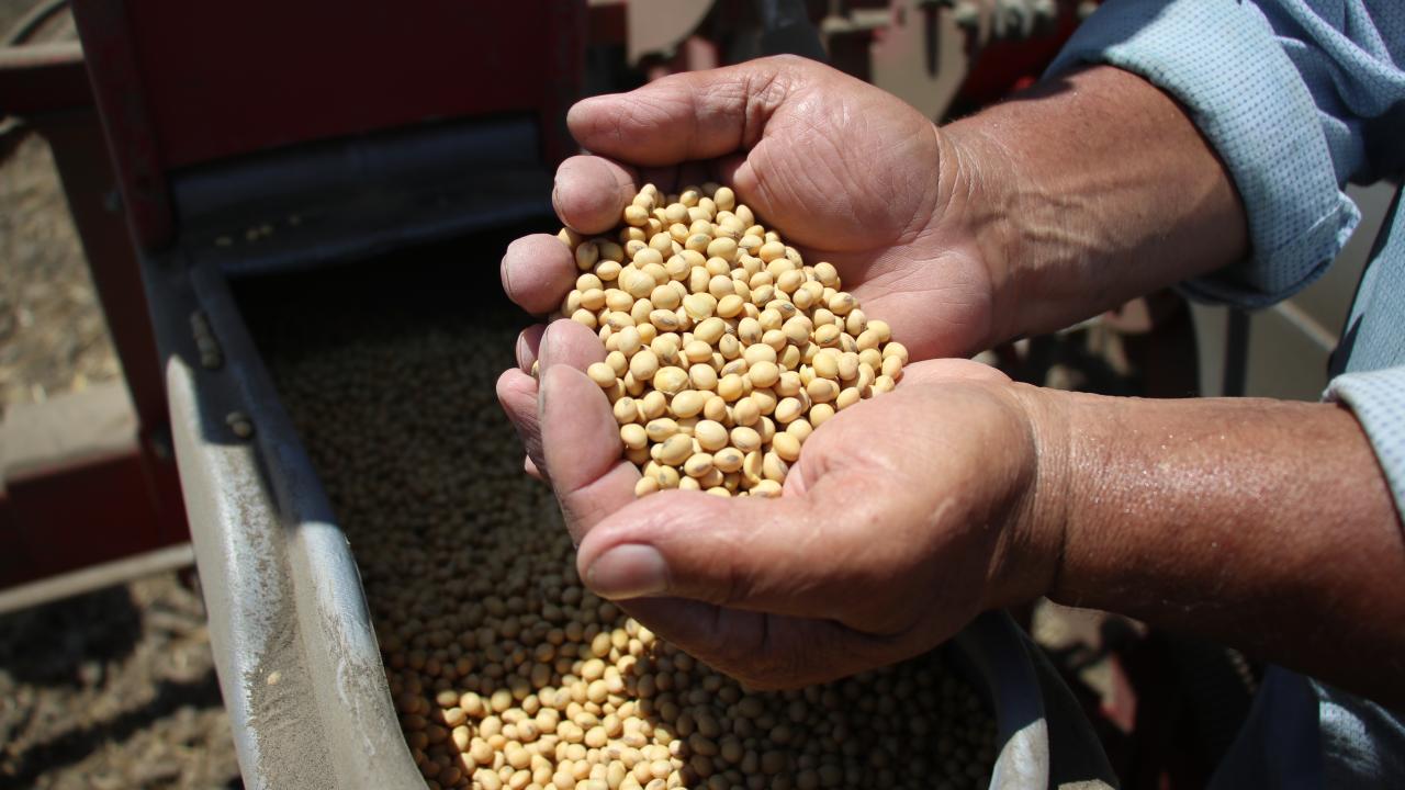 "İkinci ürünle tarımsal istihdamı artırmış oluyoruz"