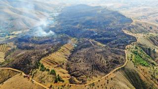 Elazığ'da orman yangını: Yüzlerce dönümlük alan kül oldu