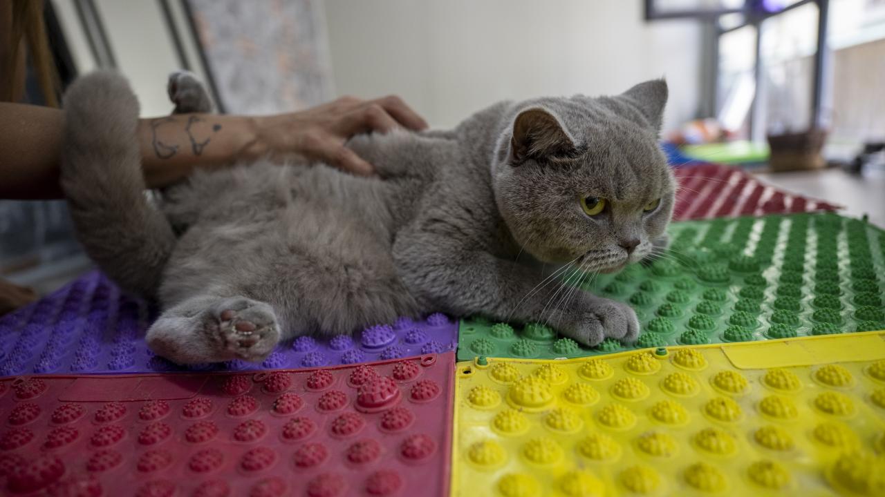 "Yeni hayatlarına güzel devam etsinler diye `mezuniyet` diyoruz"