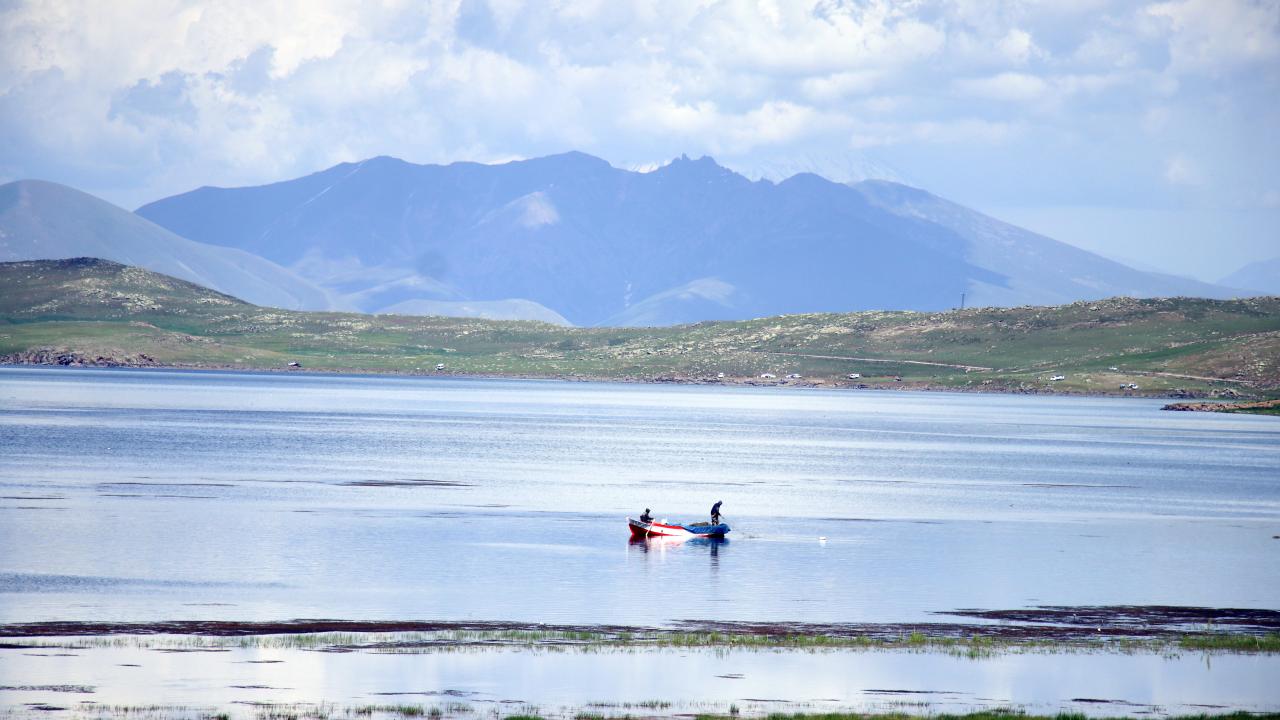"İnternetten görüp geldik"