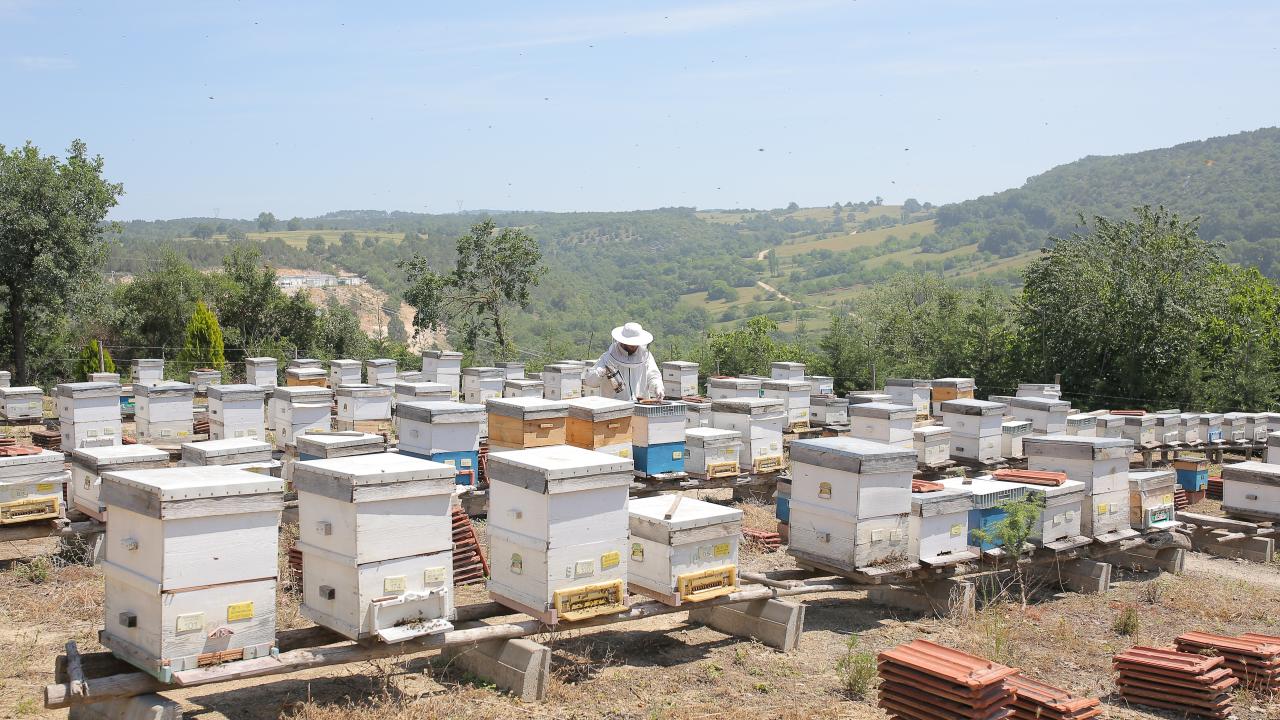  "Erken ilkbahar üreticilerimiz için bulunmaz bir nimet"